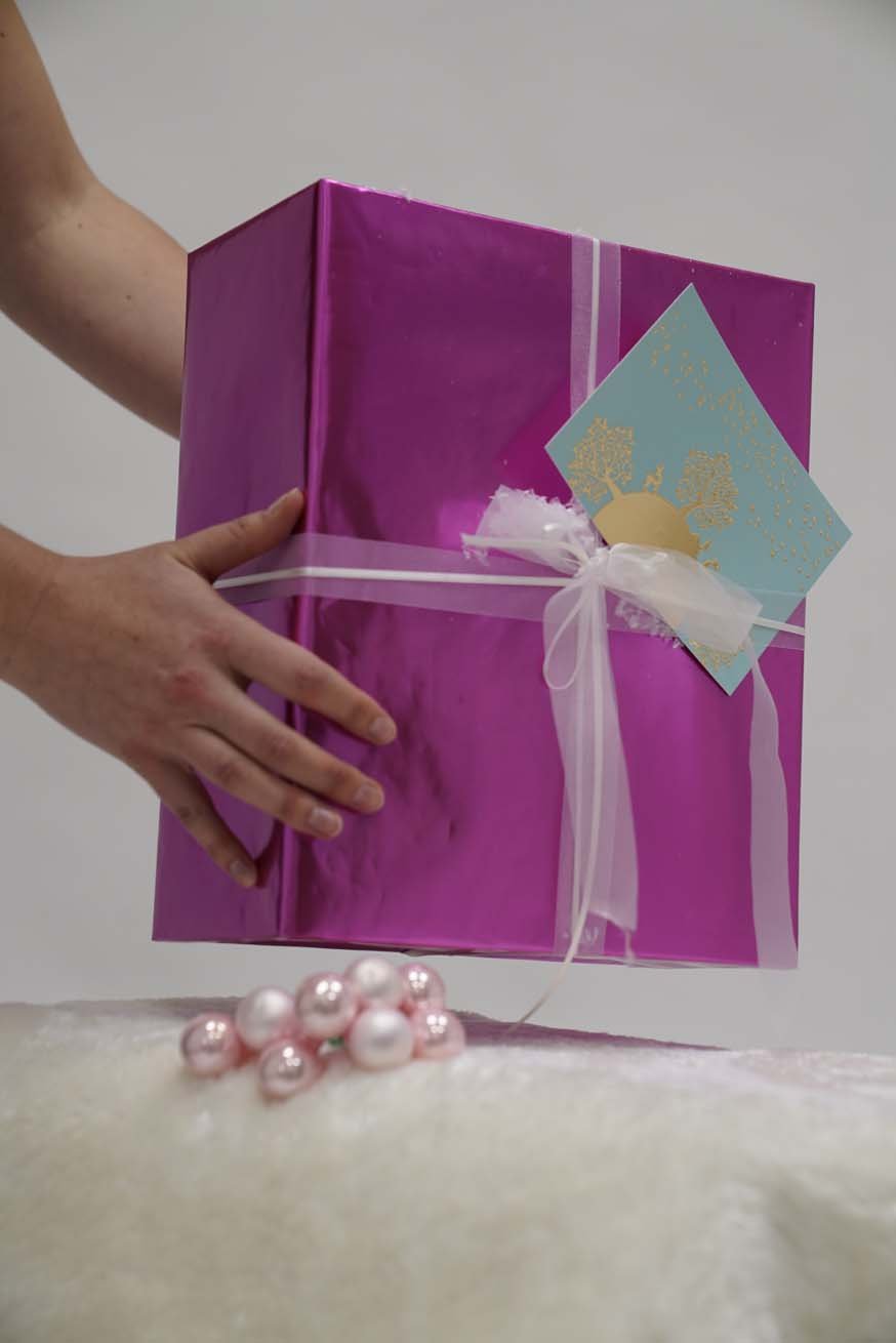 Πιστοποίηση Specialist Carrying Consultant - Βασικό Πακέτο - KOKADI