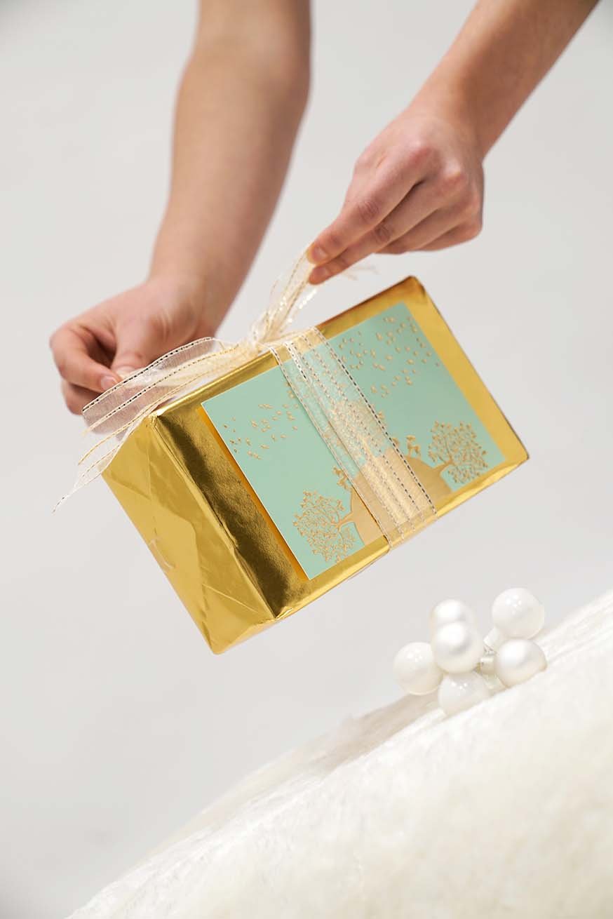 Πιστοποίηση Specialist Carrying Consultant - Premium Package - KOKADI